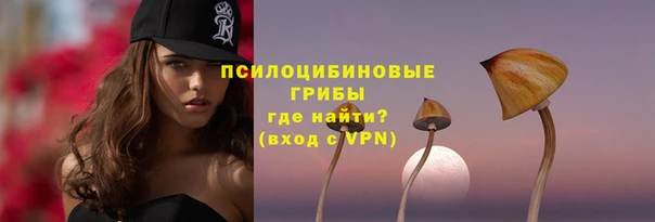 мескалин Няндома
