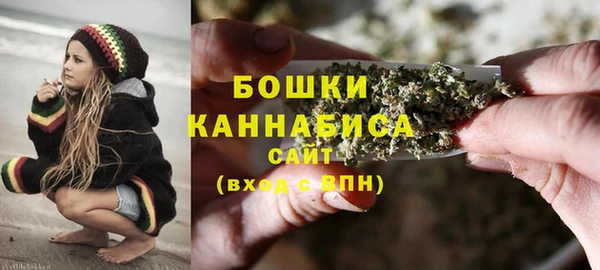 Альфа ПВП Нягань