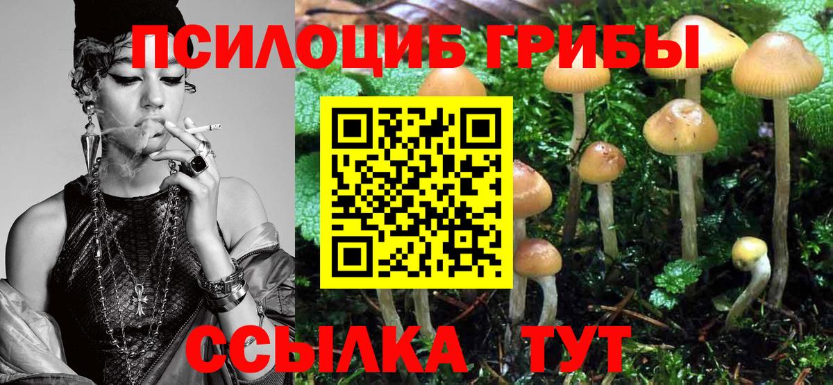 Галлюциногенные грибы Cubensis Каменка