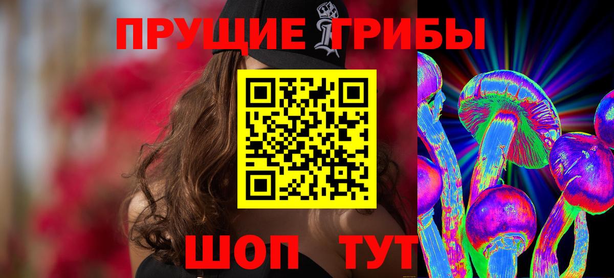 Псилоцибиновые грибы Cubensis Каменка