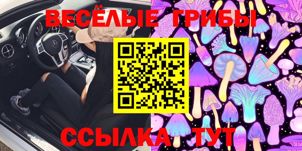 Каменка  Галлюциногенные грибы мухоморы  Вход с VPN 